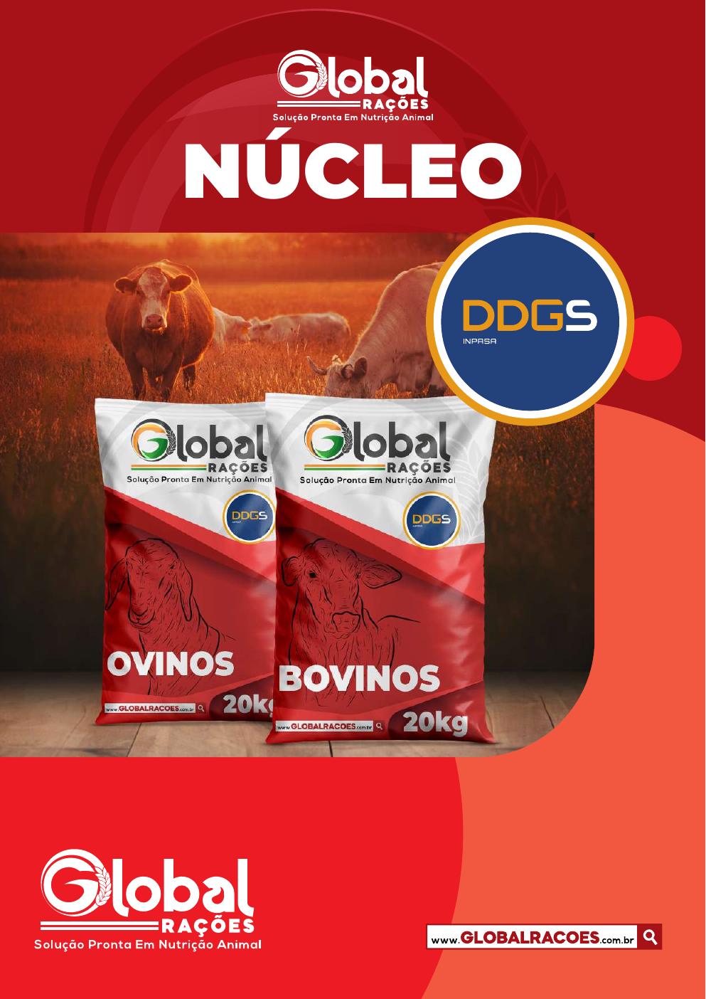 Capa do catálogo de Núcleos